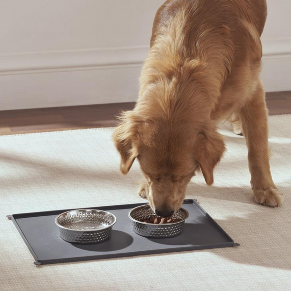 Pamper Your Pet: Choosing the Best Pet Bowls and Mats for Comfort and Style