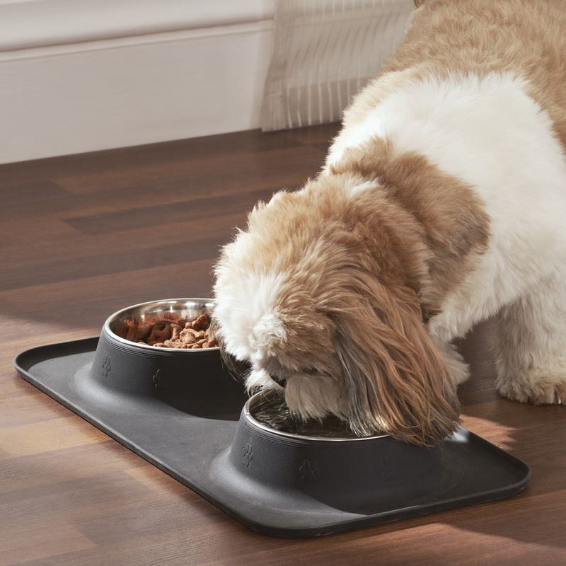 Animal food outlet mat