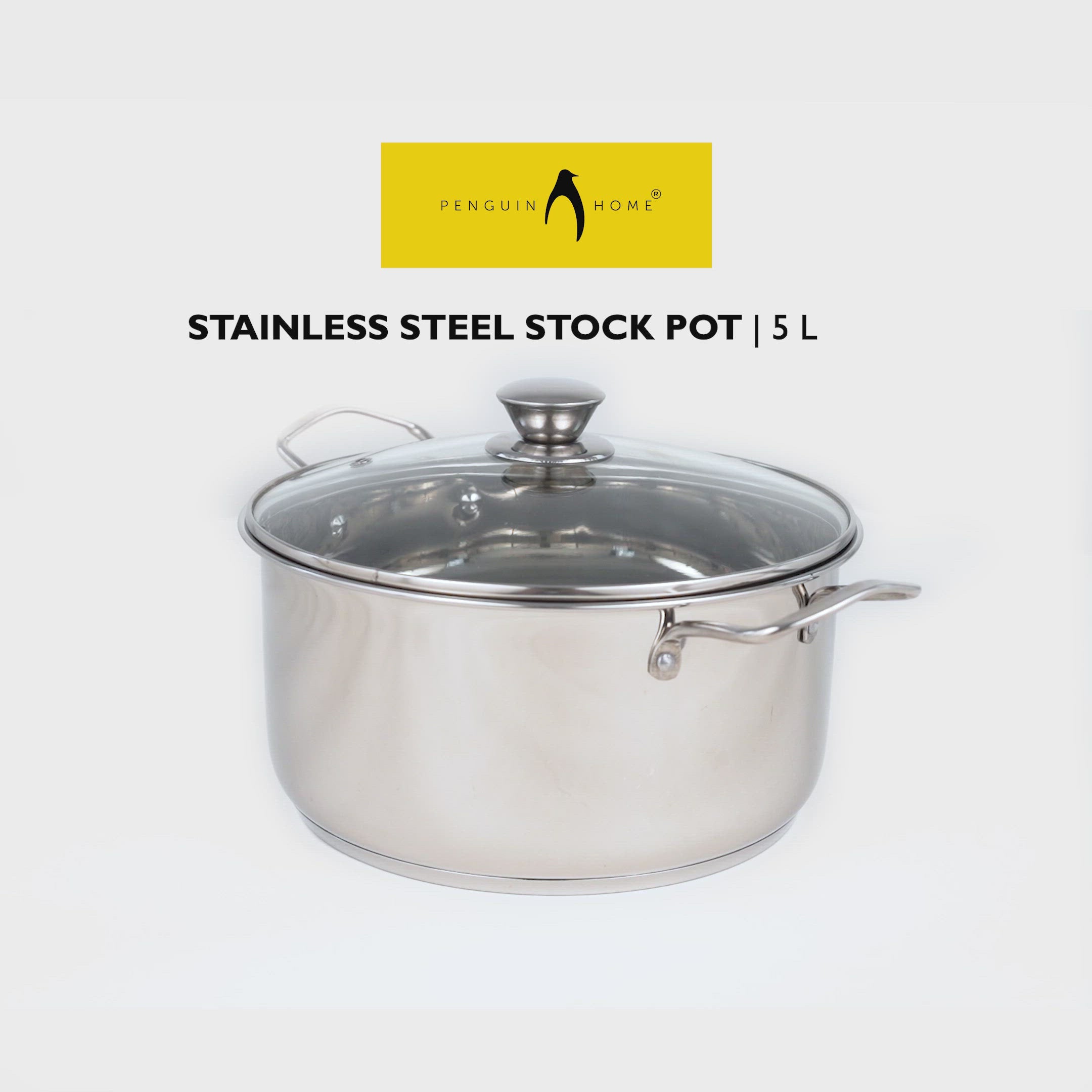 Penguin Home® Stock Pot 24cm, 5 Litre